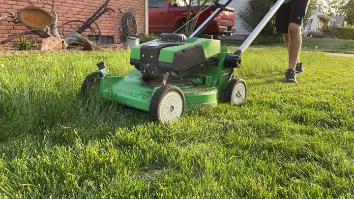 A petrol lawn mower cutting long grass in a back yard